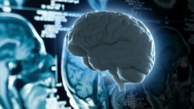 Human brain spinning showing cerebral cortex and right, left hemispheres, cerebellum & brain stem on anatomical model CG visualization with MRI scan background